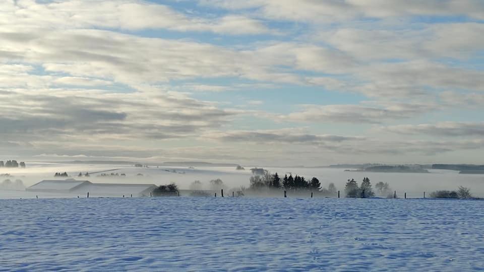 Gite Du Cheval Blanc A Houmont Sainte-Ode Buitenkant foto
